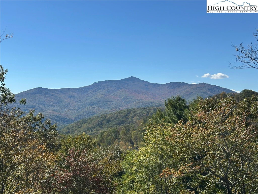 Image number 5 for the current listing