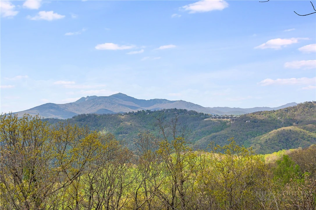 Image number 2 for the current listing