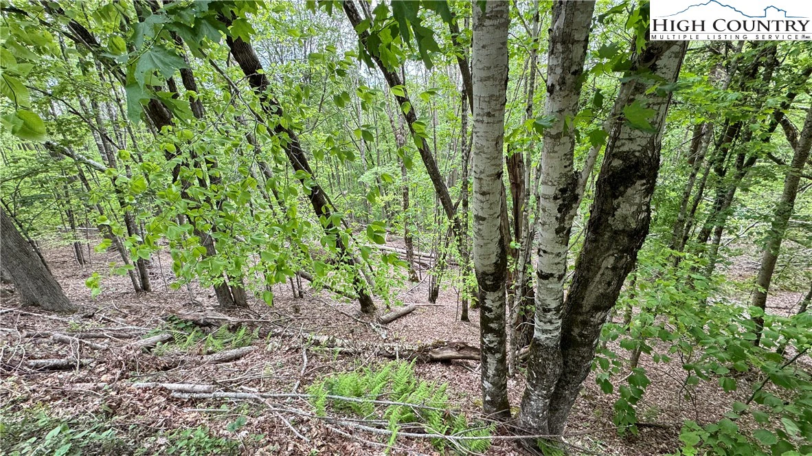 Image number 3 for the current listing