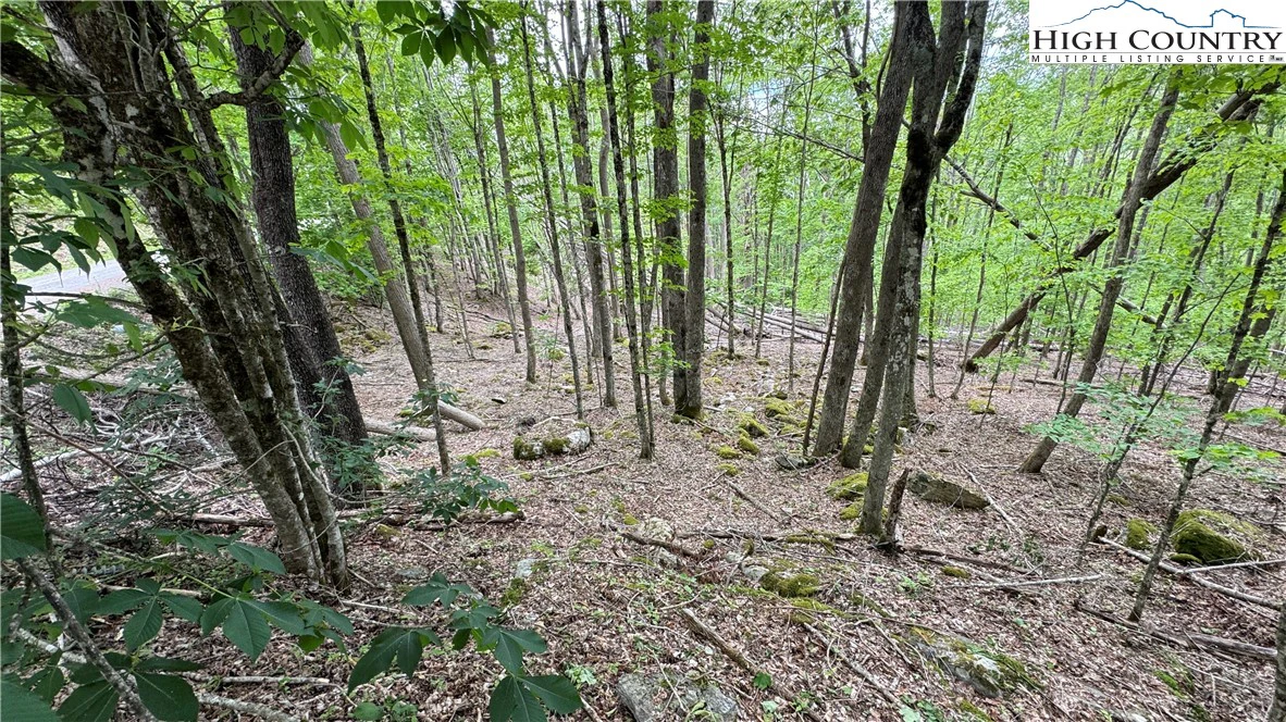 Image number 11 for the current listing
