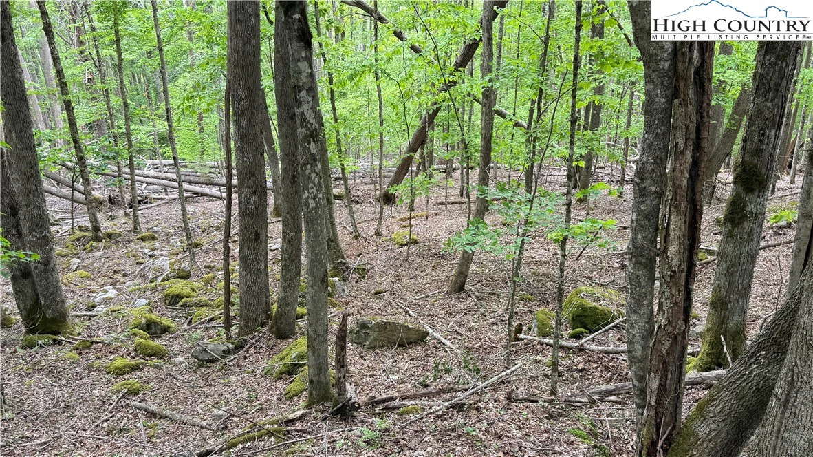 Image number 10 for the current listing