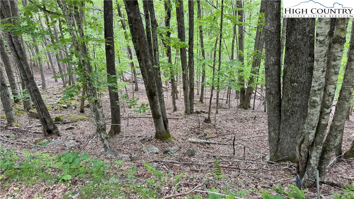 Image number 9 for the current listing