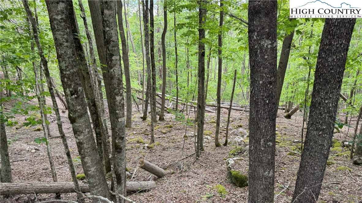 Image number 6 for the current listing