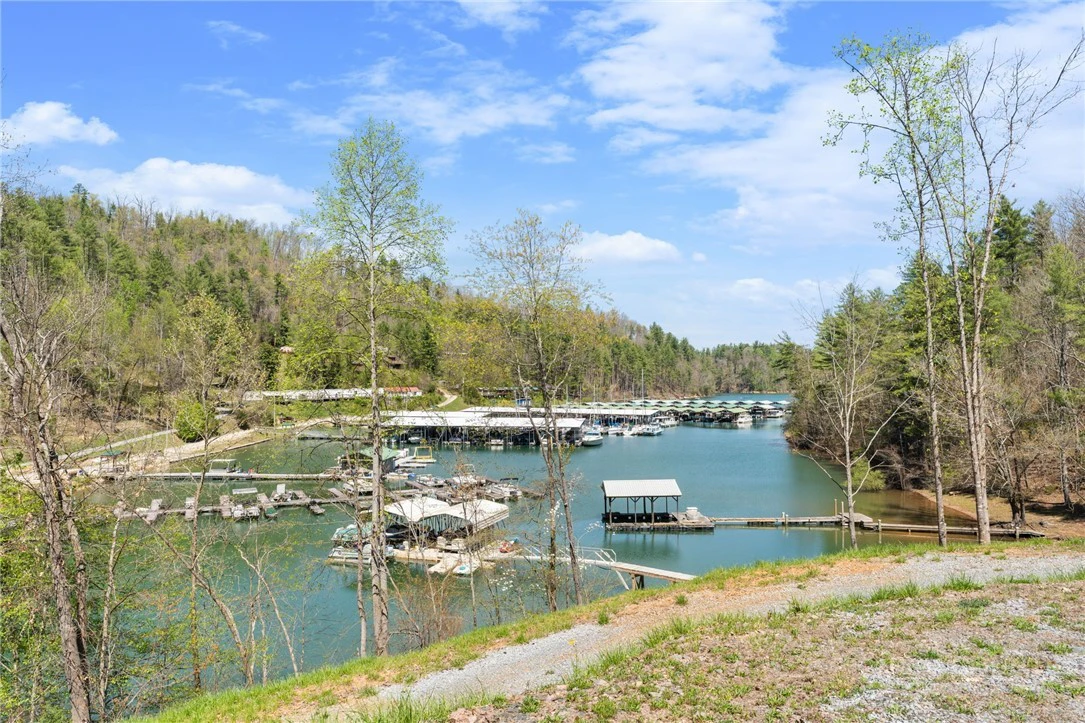 Image number 5 for the current listing