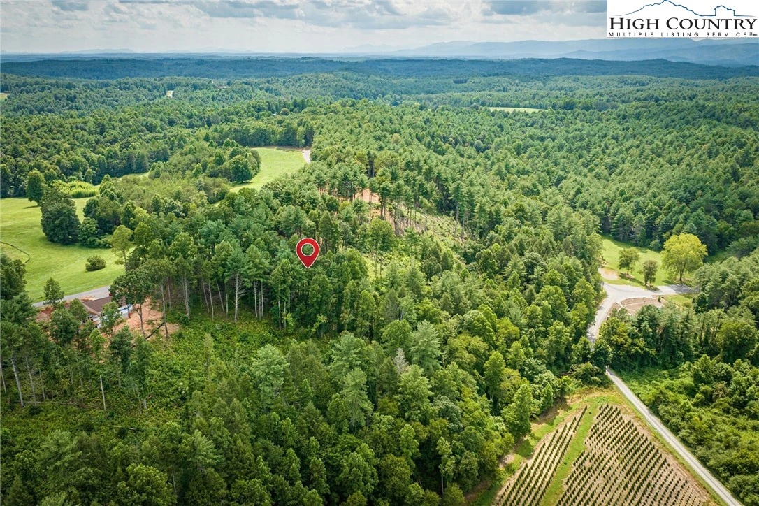Image number 4 for the current listing