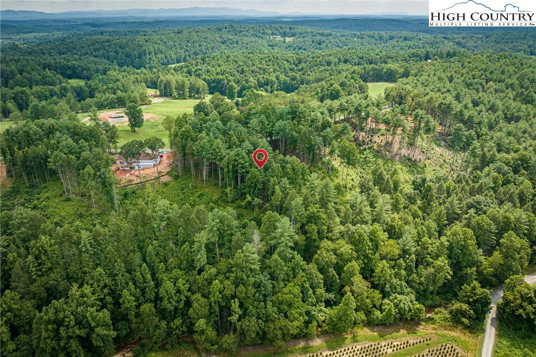Image number 5 for the current listing