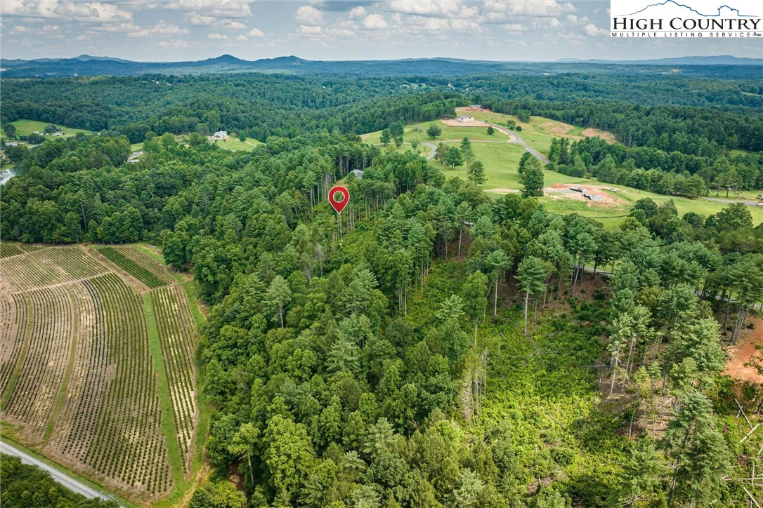 Image number 6 for the current listing