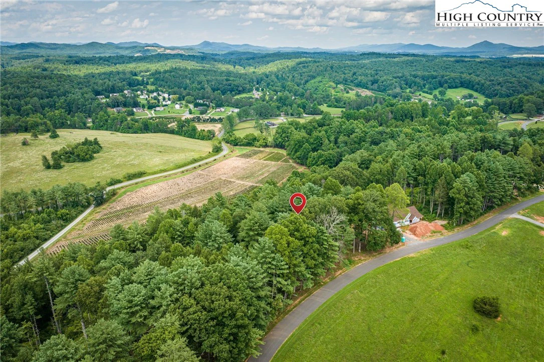 Image number 7 for the current listing