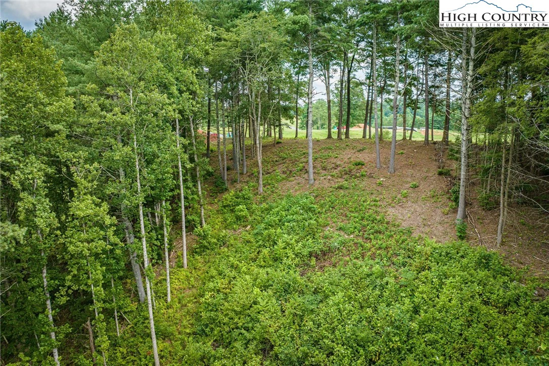 Image number 11 for the current listing