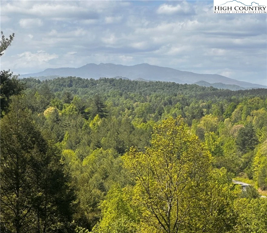 Image number 1 for the current listing
