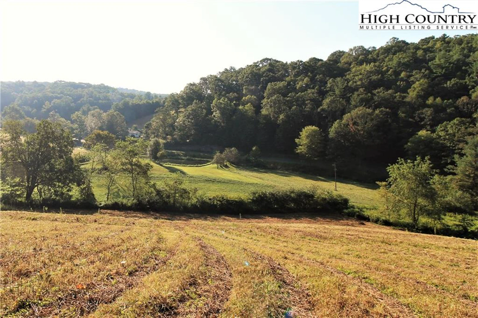 Image number 11 for the current listing