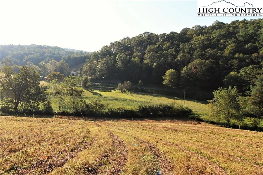 Image number 11 for the current listing
