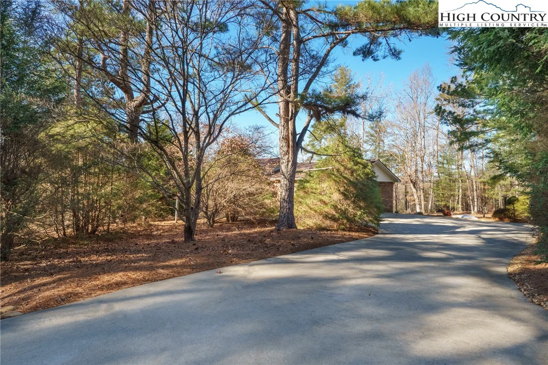 Image number 11 for the current listing