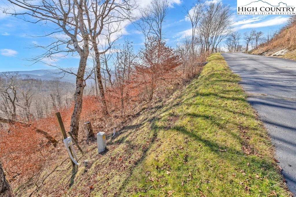 Image number 1 for the current listing