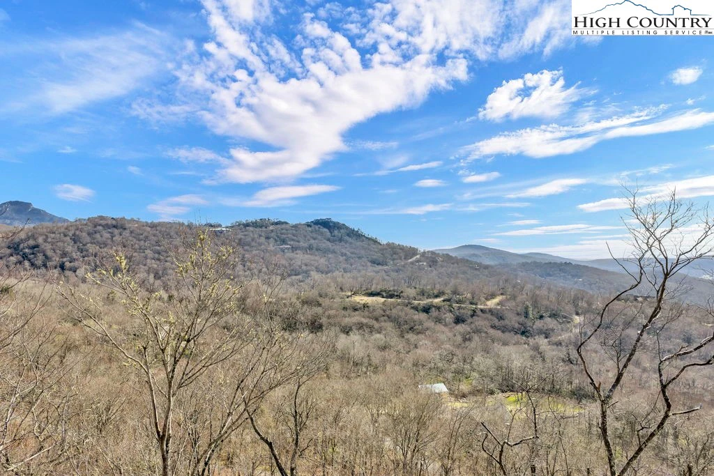 Image number 5 for the current listing