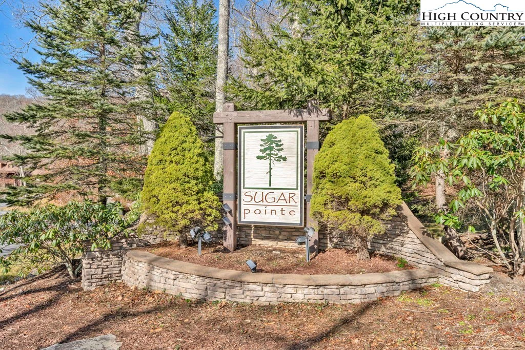 Image number 9 for the current listing