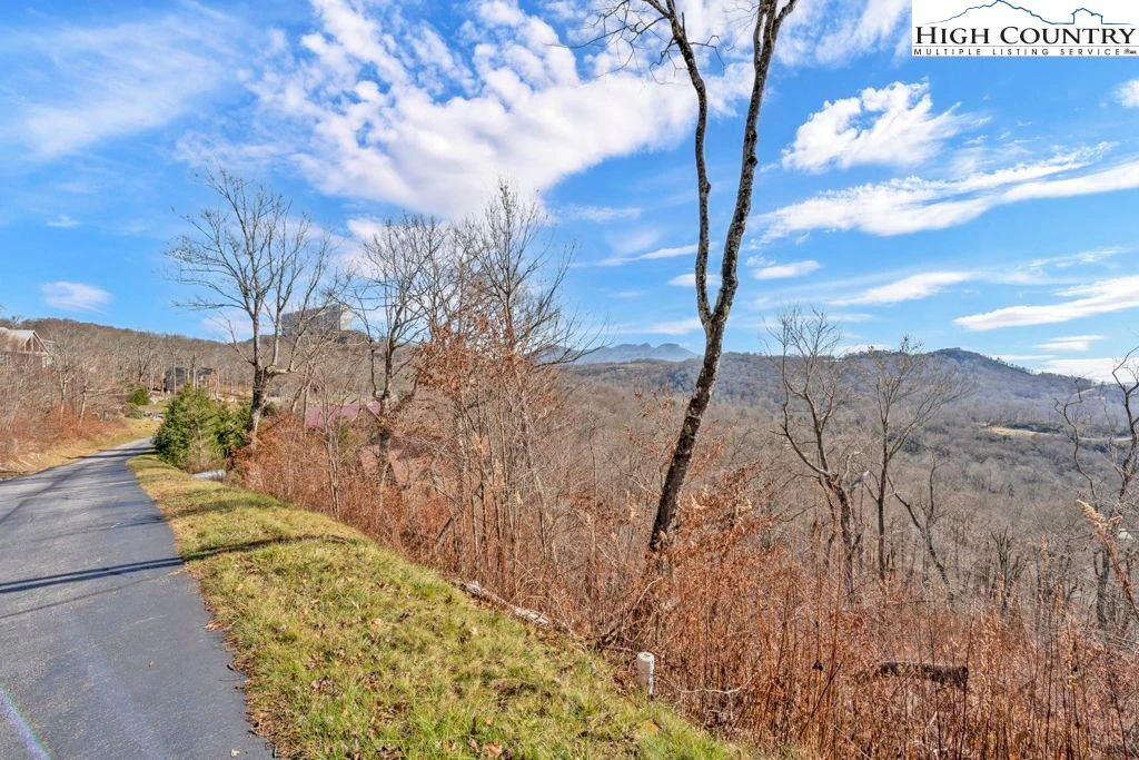 Image number 11 for the current listing