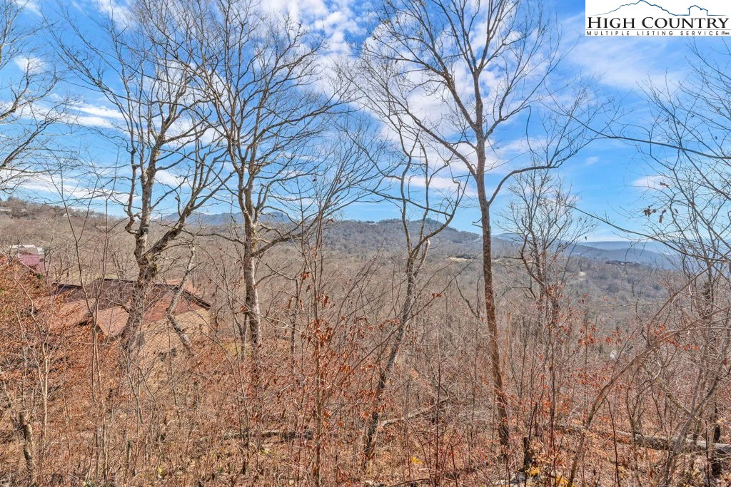 Image number 12 for the current listing