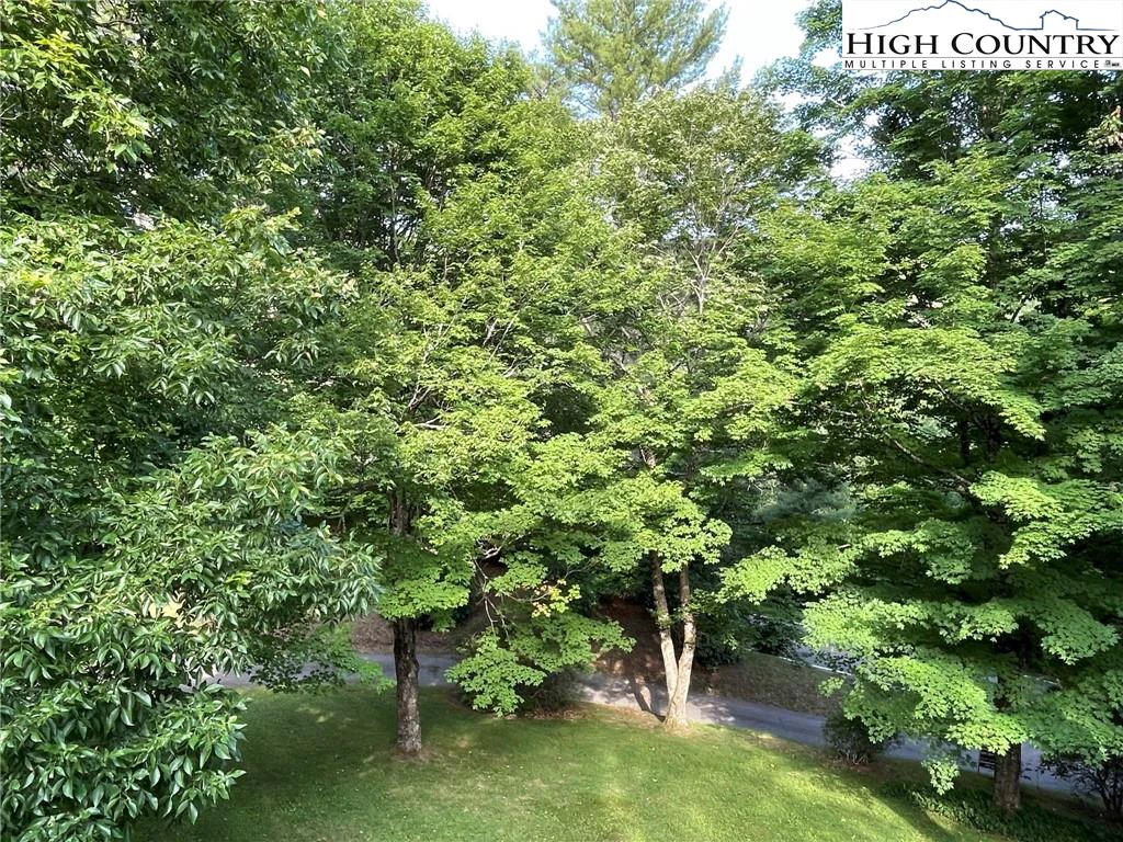 Image number 8 for the current listing