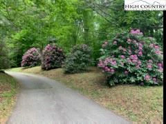 Image number 15 for the current listing