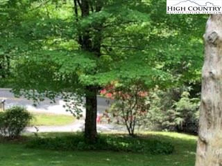 Image number 17 for the current listing