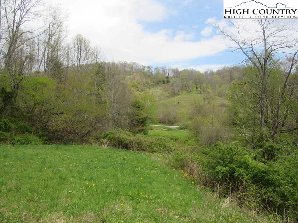 Image number 1 for the current listing