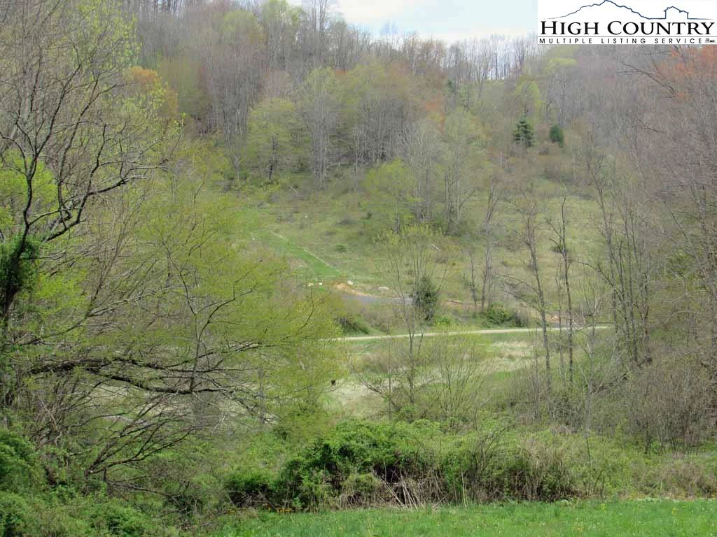 Image number 19 for the current listing