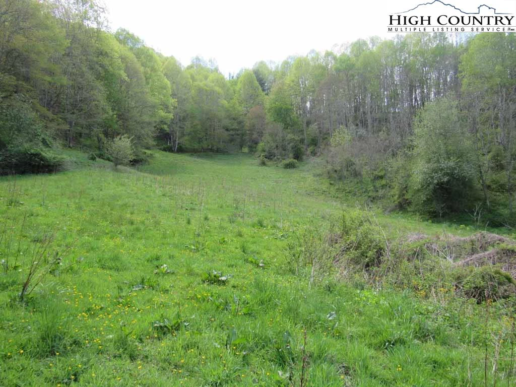 Image number 7 for the current listing