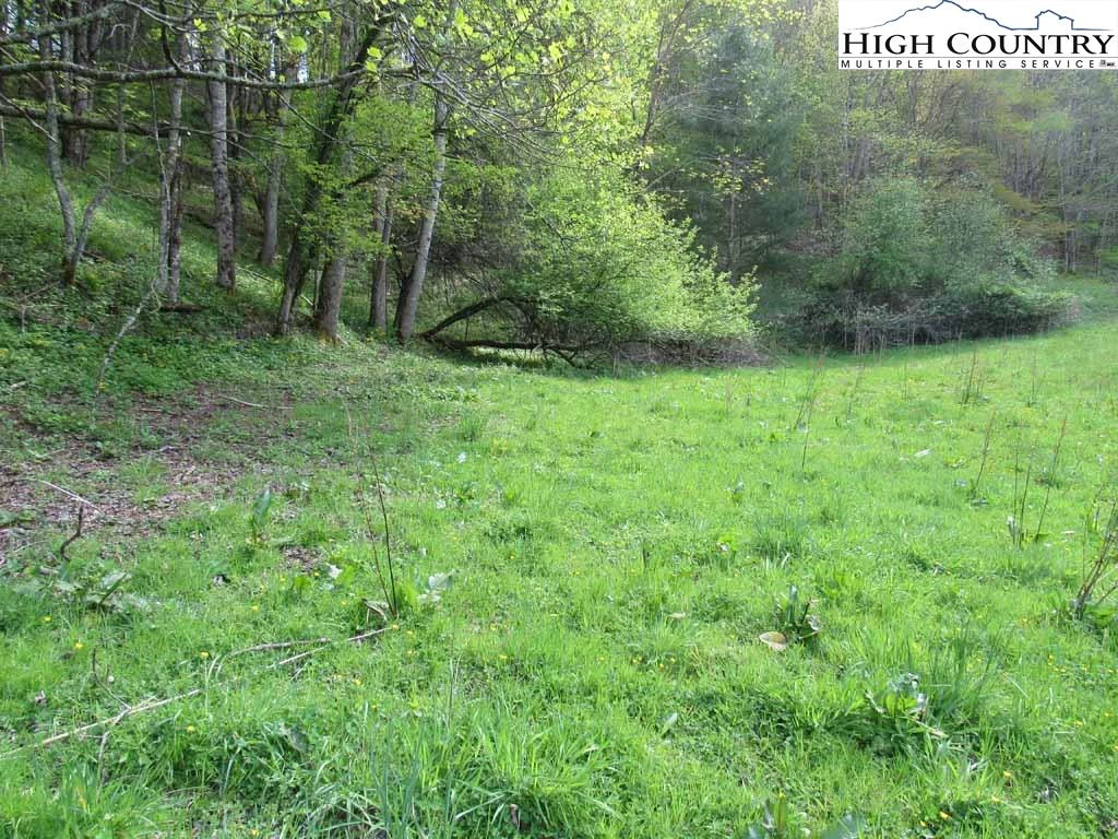 Image number 8 for the current listing