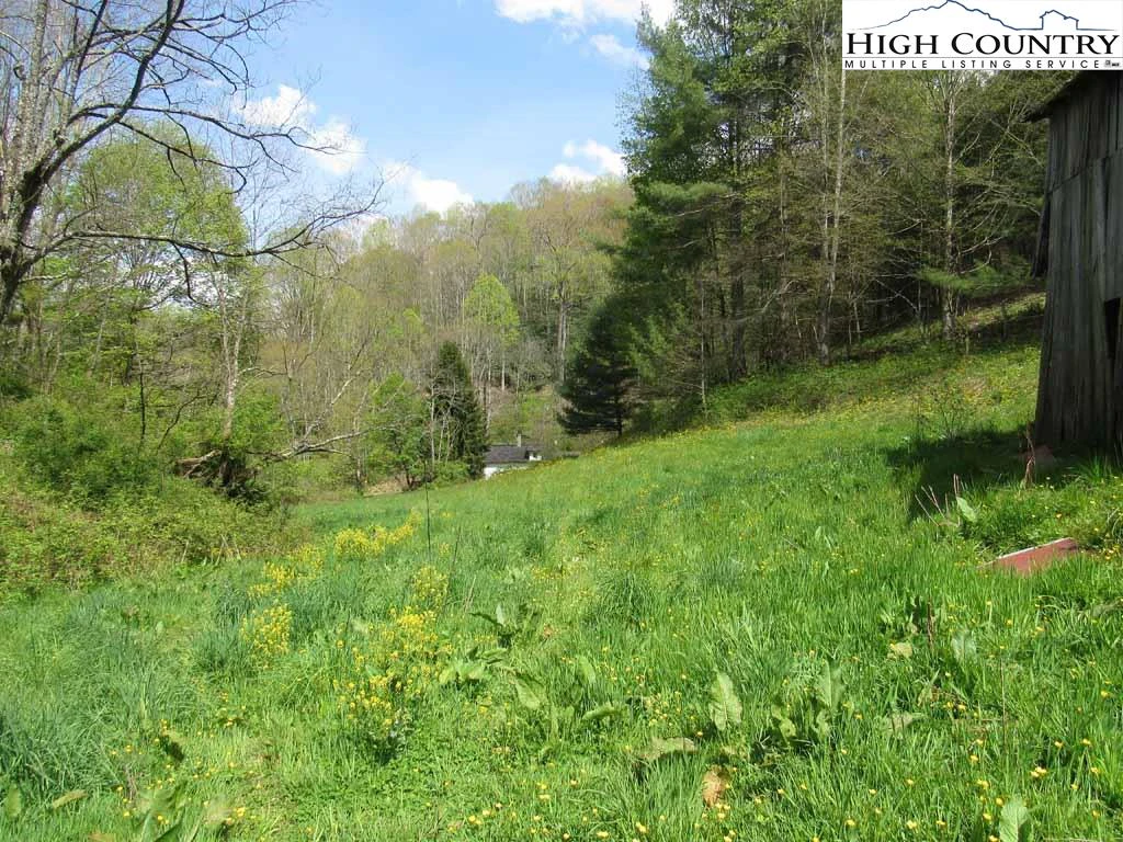 Image number 11 for the current listing