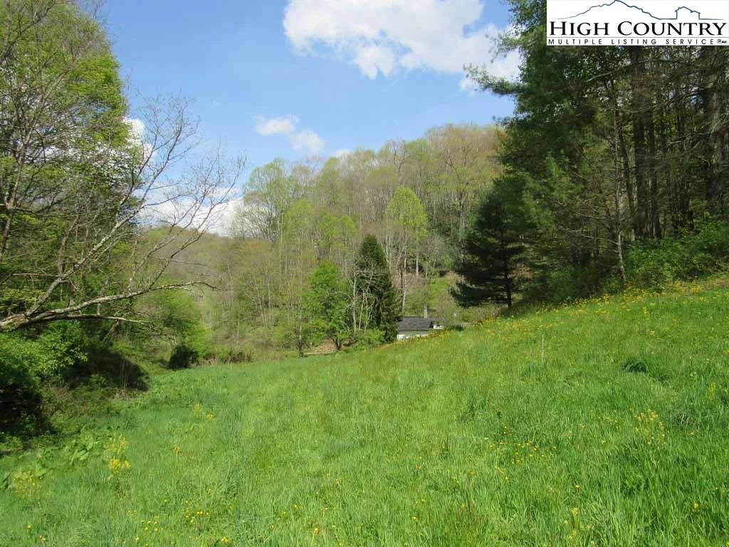 Image number 13 for the current listing