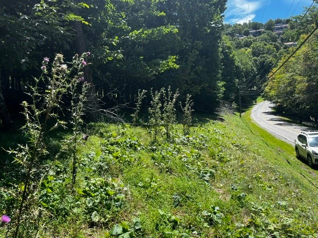 Image number 1 for the current listing