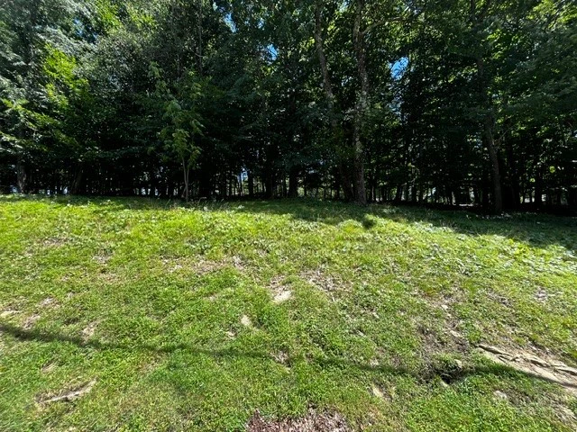 Image number 2 for the current listing