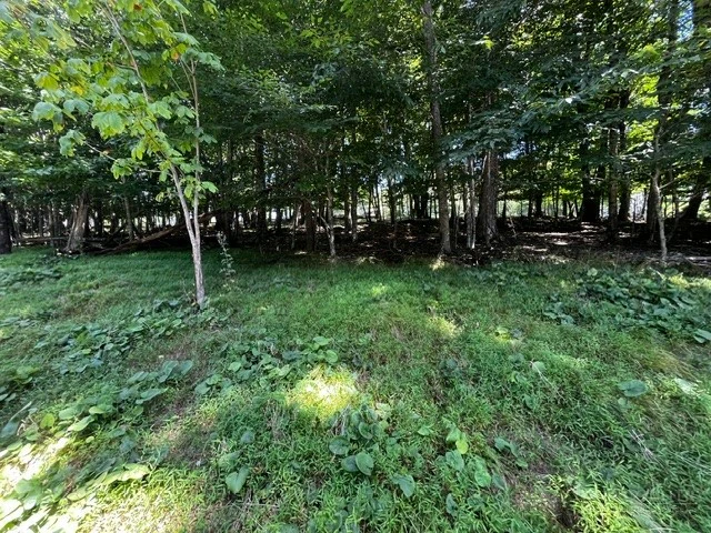 Image number 3 for the current listing