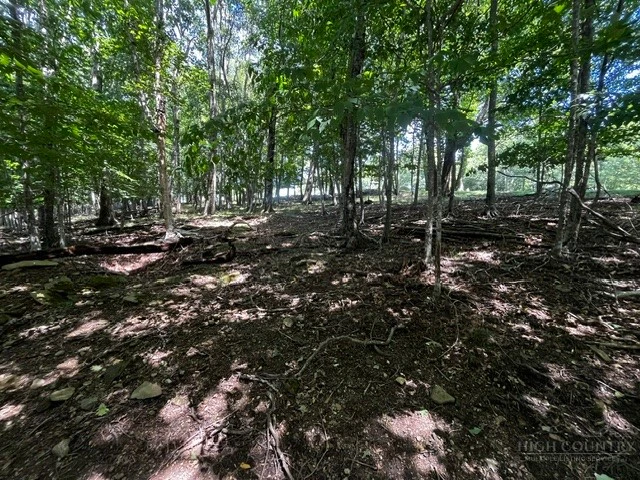 Image number 4 for the current listing