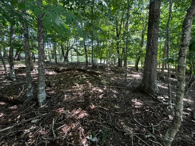 Image number 5 for the current listing