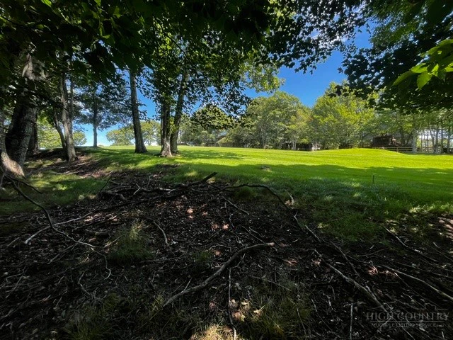 Image number 6 for the current listing