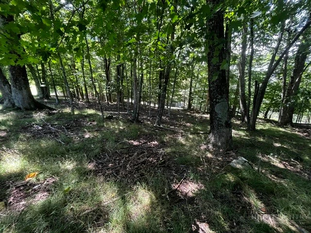 Image number 7 for the current listing