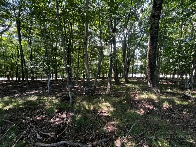 Image number 8 for the current listing