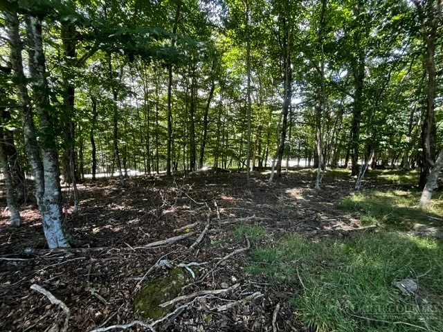 Image number 9 for the current listing