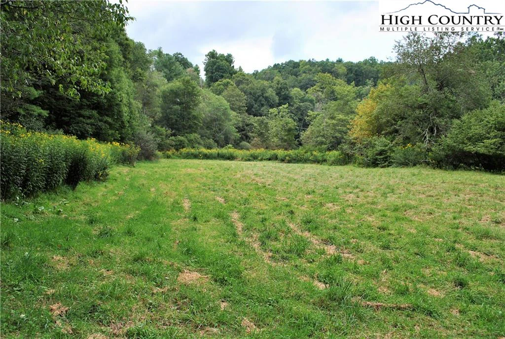 Image number 5 for the current listing
