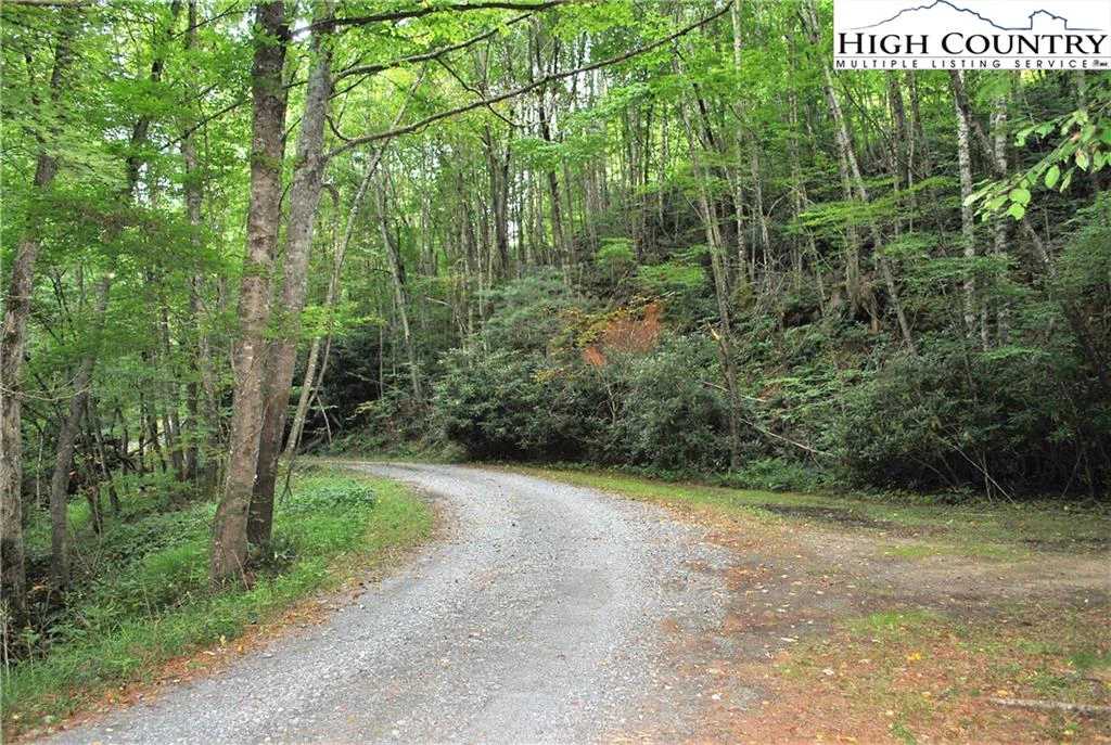 Image number 3 for the current listing