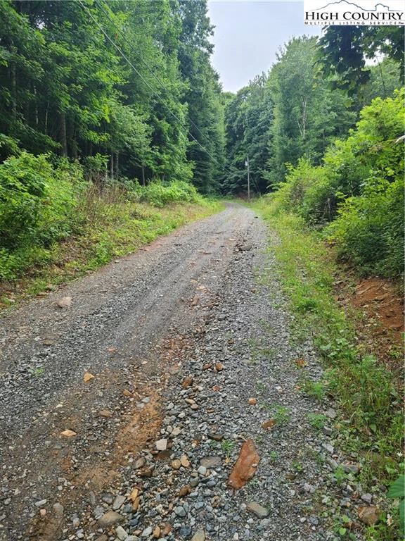 Image number 1 for the current listing