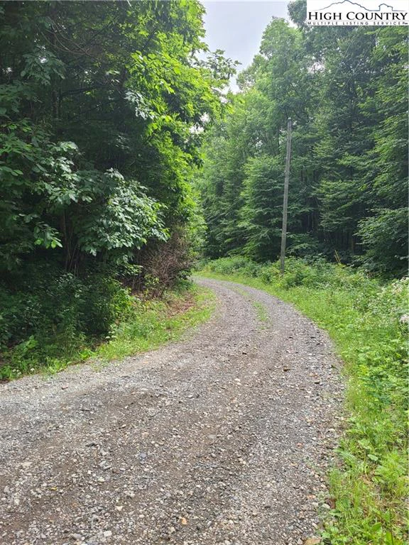 Image number 3 for the current listing