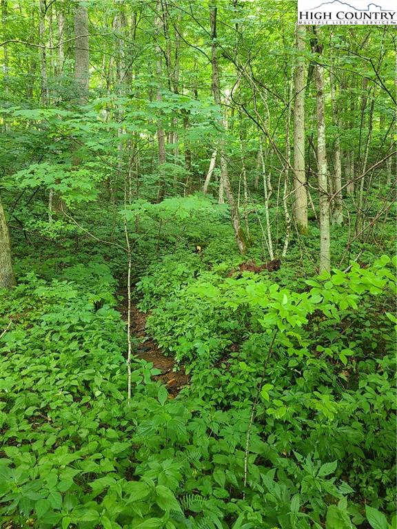 Image number 6 for the current listing