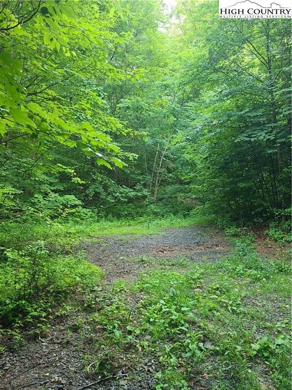 Image number 9 for the current listing