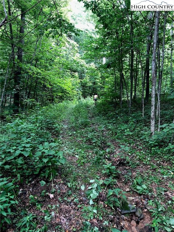 Image number 1 for the current listing