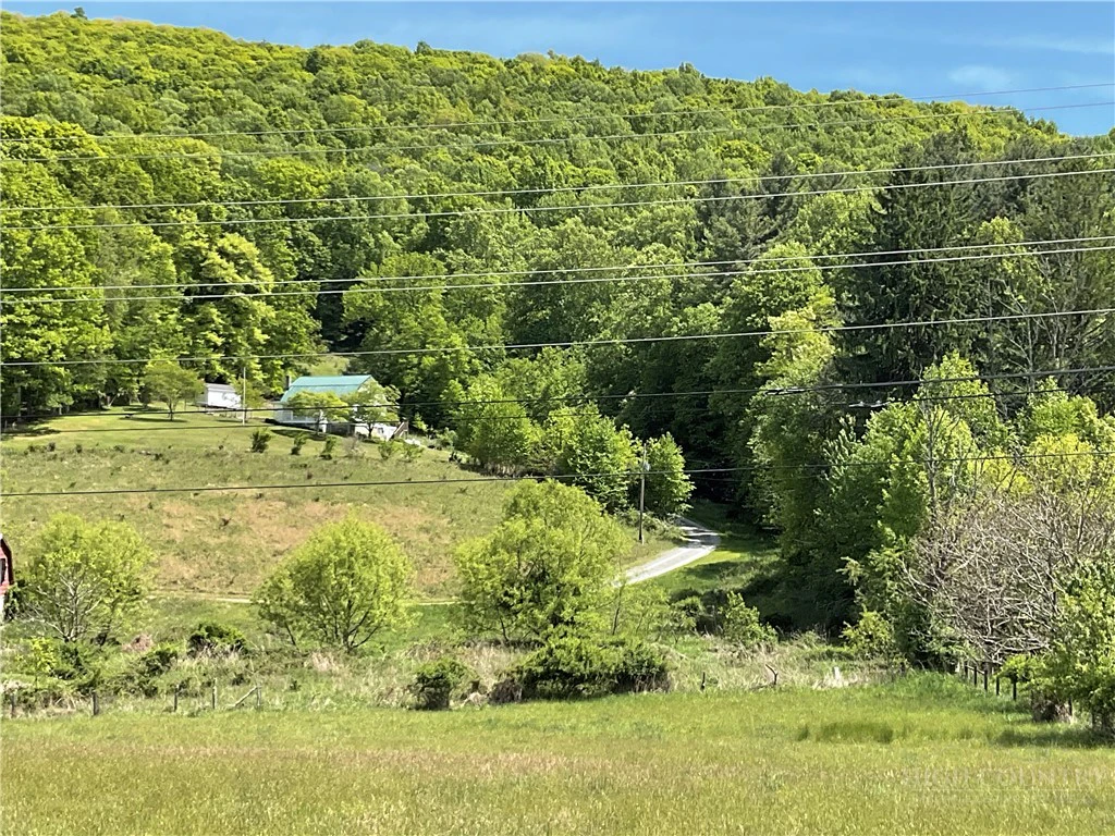 Image number 6 for the current listing