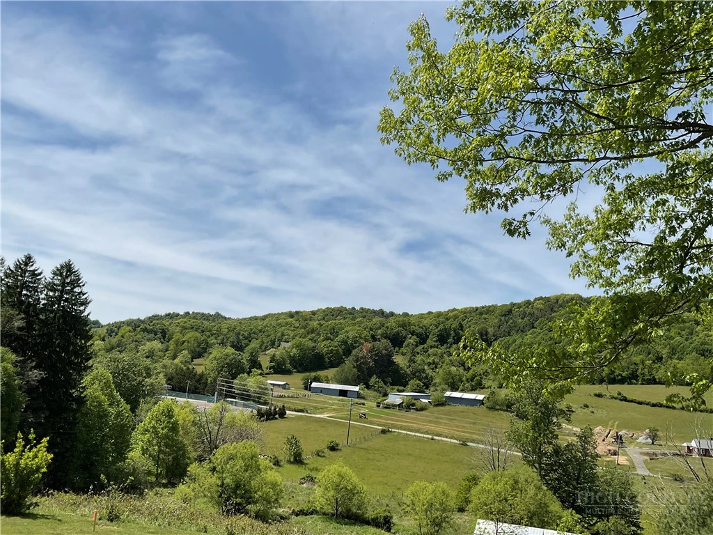 Image number 5 for the current listing
