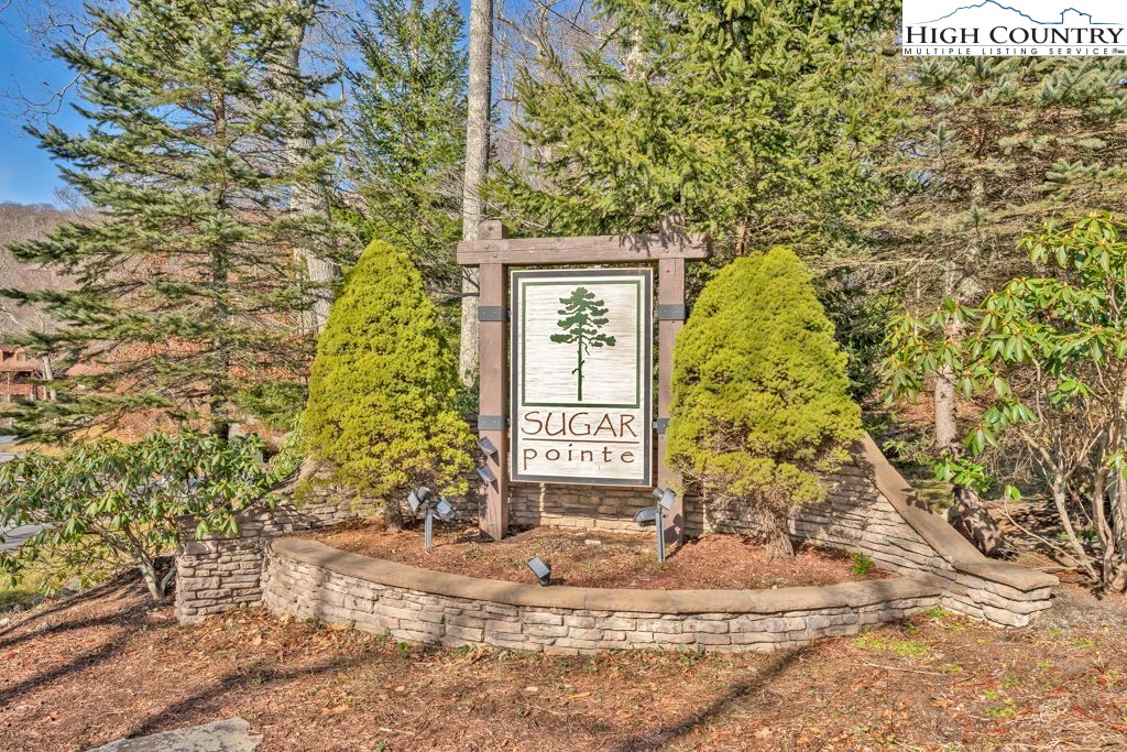 Image number 14 for the current listing